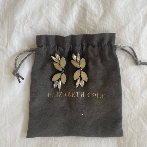 Elizabeth Cole crystal drop earrings - Picture 3 of 4